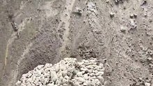 我捡到了燕窝