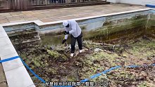 清理富婆的游泳池，过程超级解压