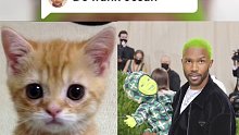 Frank Ocean猫猫