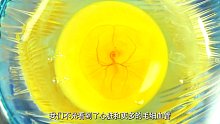 国外小哥耗时三年记录小鸡胚胎发育过程