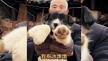 这都是啥书啊？