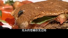 无t苍蝇的背后真相