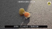 第5集 太治愈啦，蛋黄哥大冒险。