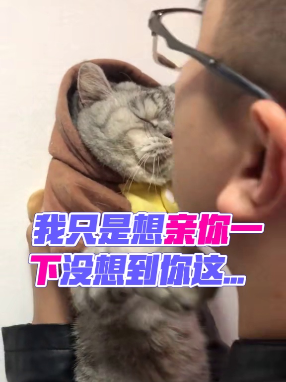 我只是想亲你一下，没想到你这反应