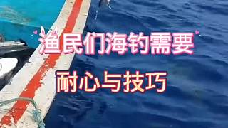 漁民們海釣需要耐心與技巧