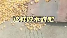 这是谁家的玉米啊