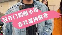 双开门小哥 喜欢遛狗健身
