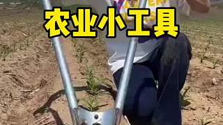 這種農(nóng)業(yè)小工具，可能你們都沒(méi)見(jiàn)過(guò)吧