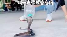 辣条都懵了