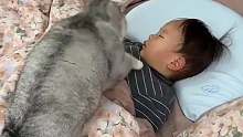 猫咪来哄娃
