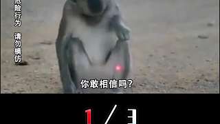常見的激光筆，為何被英美列為禁用武器？幾秒內燒穿氣球太可怕！ 1