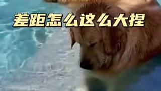 能不能干點(diǎn)人事