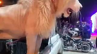 抓個兩腳怪嘗嘗