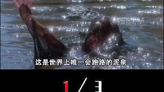 美國“長腳”泥泉，2年移動(dòng)73米逼鐵路改道，或是大地震征兆？1