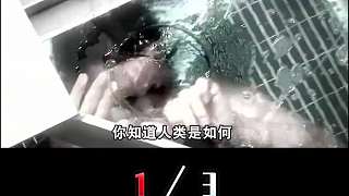大海四處是水，中國是如何修建海底隧道的？看完佩服工程師智慧！1