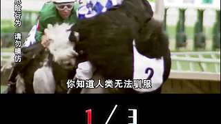 人類無(wú)法馴服的3種坐騎，為什么同樣是馬，斑馬卻不能用來(lái)當(dāng)坐騎？  1
