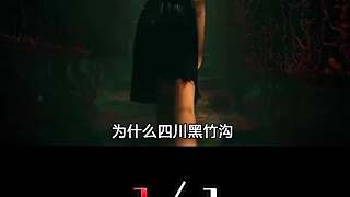 四川禁地黑竹溝！有進(jìn)無(wú)出的神秘地帶，到底有多危險(xiǎn)？（3_3）
