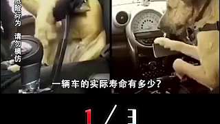 車子滿15年強(qiáng)制報(bào)廢？為何美日車能開10幾年，我國(guó)平均只能開5年  1