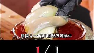 6只蝸牛賣300！法國(guó)人一年吃掉6萬(wàn)噸蝸牛，為啥中國(guó)人不吃蝸牛？1