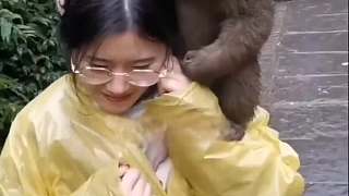 這群猴子總是騷擾游客，把美女嚇得都不敢動(dòng)
