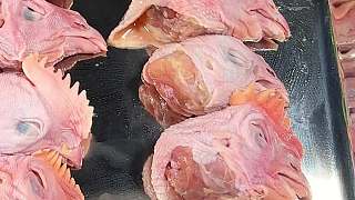 陶管家真能造，一頓飯能吃十五只雞和十條鱖魚！