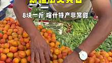 新疆街头黄杏，8块一斤，太便宜了