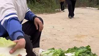 我的鄉(xiāng)村生活