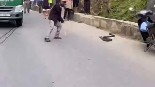 又菜又愛玩