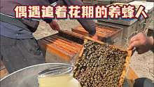 手摇蜂蜜，给我装满了一罐春天 偶遇一对追着花期往北跑的养蜂人，羡慕他们永远在春天的旅行里。