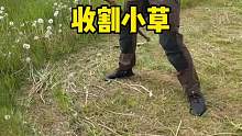 原来他们收割小草是这么的轻松啊