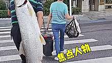 这鱼真不小呀