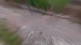 極限下樓挑戰(zhàn)，跑十層樓追氣球并在落地前拿住