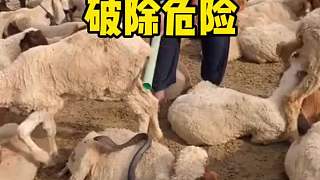 真是個不錯的方法