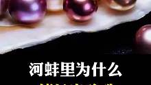 河蚌里为什么能长出珍珠