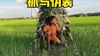 這方法還真不錯啊