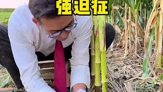 你們看看這個(gè)才叫專業(yè)