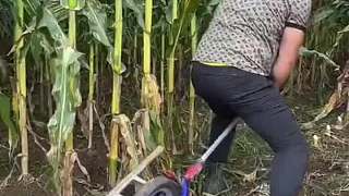 老祖宗傳下來的東西才最好用