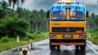 猴子冒險攔車救人