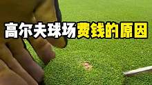 你知道打高尔夫球有多费钱吗?
