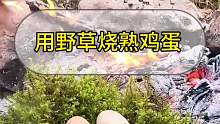 用野草烧熟鸡蛋
