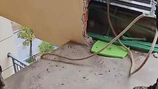 還能這樣裝修啊