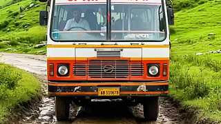 牛牛救了一車人