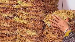 老式炒面 河南街頭的老式炒面11一份鍋氣十足真香