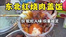 东北街头红烧肉盖饭12一份