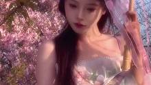 你比春天先进入我的心里,古装樱花