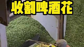 原來這就是釀造啤酒的原材料