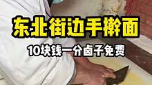 东北街边手擀面10块钱一份卤子免费