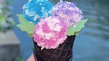 苏州绣球花冰淇淋，朵朵盛放的花，真的好漂亮