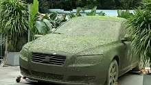 抽象洗二手车，从没想过车子竟然能脏到长豆芽。
