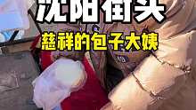 沈阳街头，慈祥的包子大姨